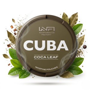 Snus CUBA Coca Leaf