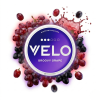 VELO Groovy Grape Mini